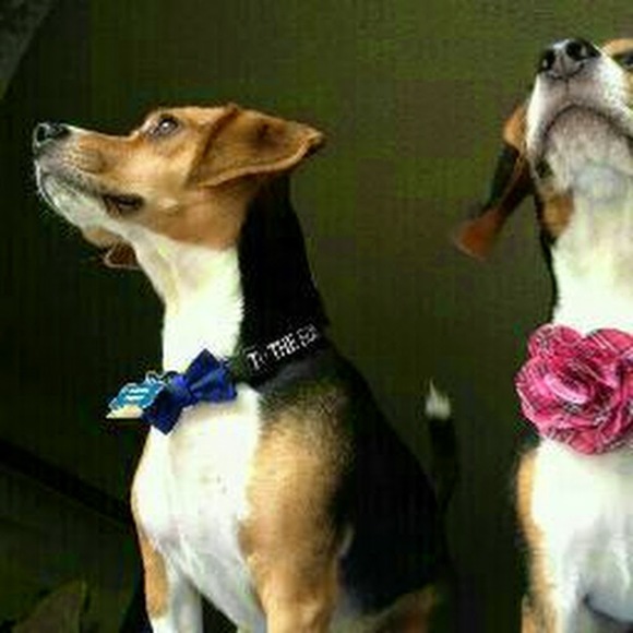 Meet your Posher, Vanessa - Picture 1 of 1